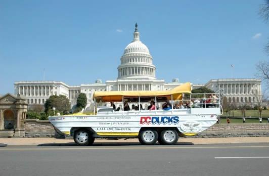 DC Ducks