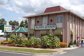 Sunflower Vegetarian Restaurant